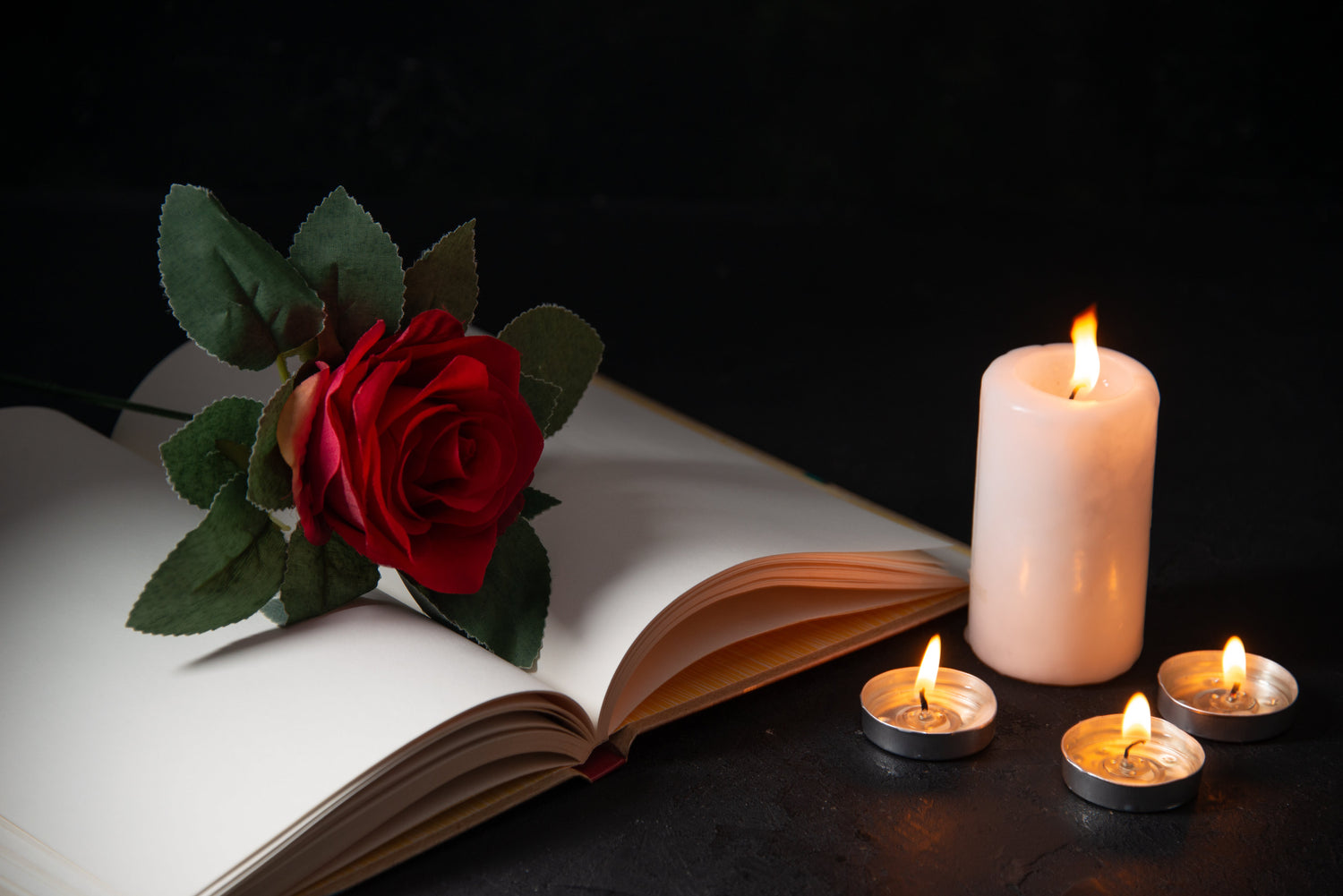 Celebration of Life