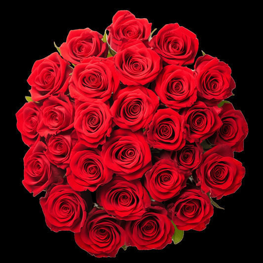 Fresh Red Rose Bouquet