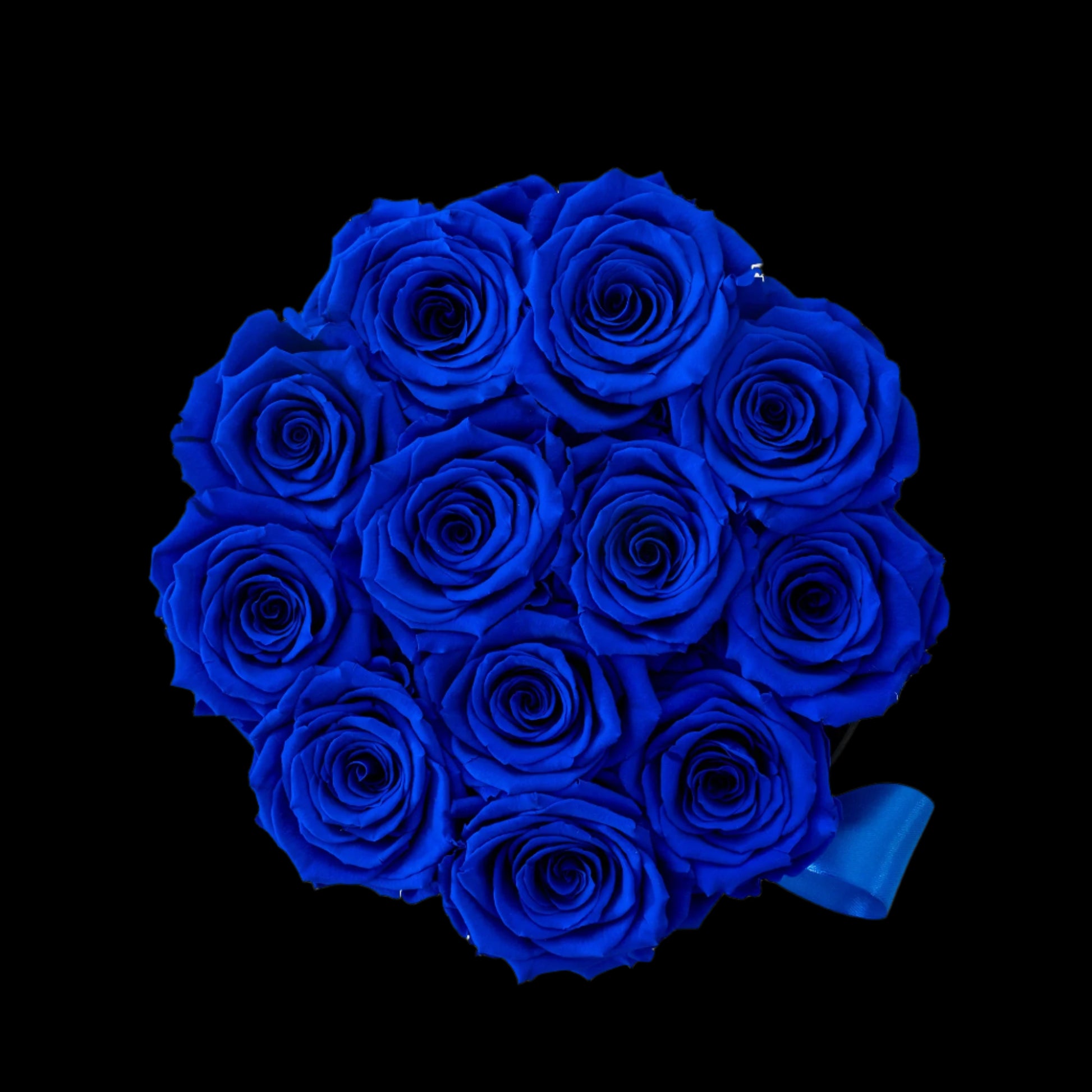 Bouquet of blue roses on a white background