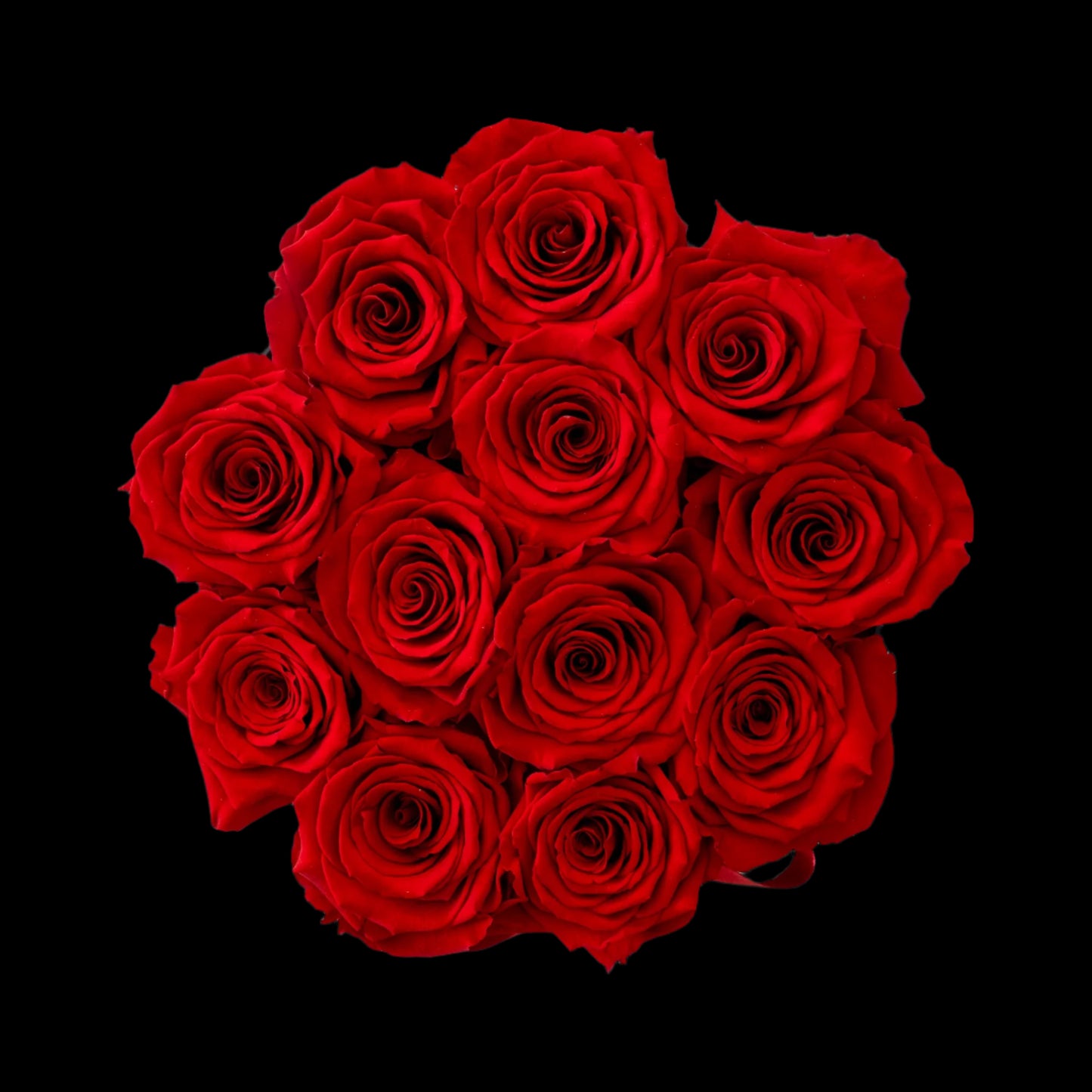 Bouquet of red roses on a white background