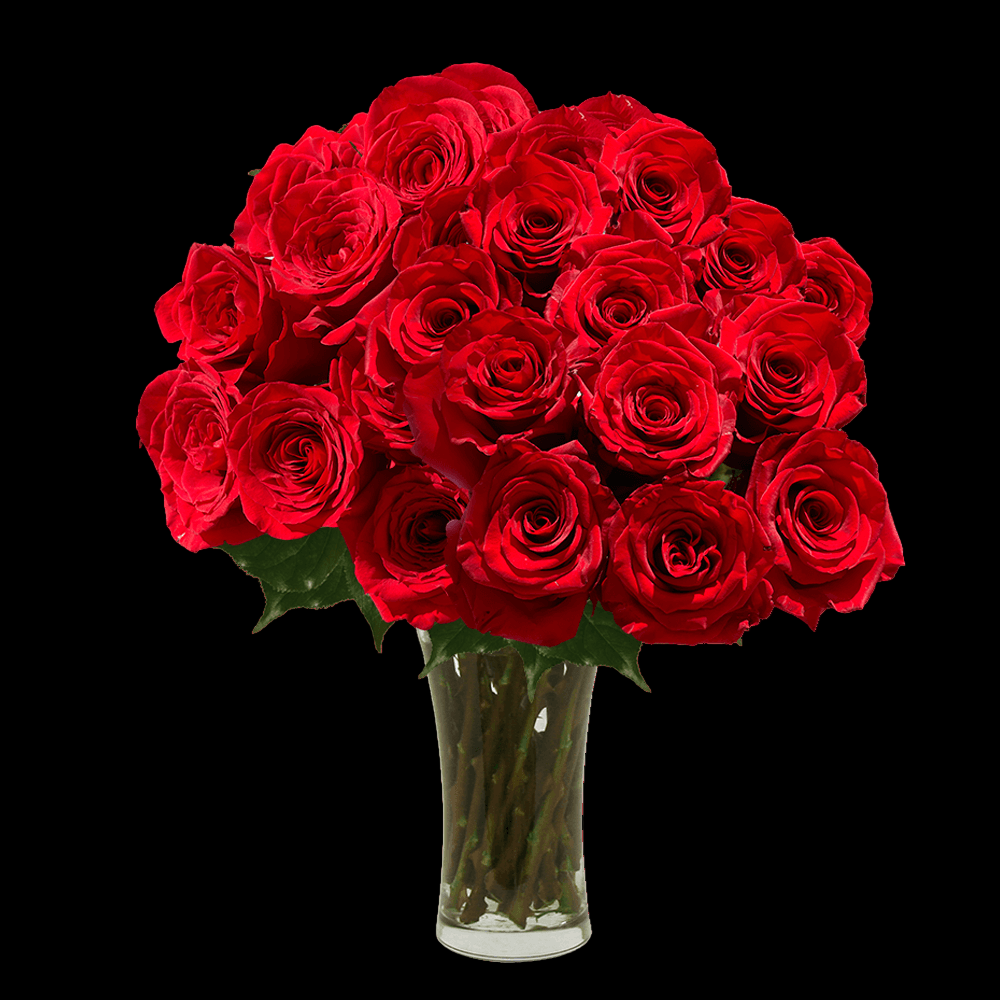 Fresh Red Rose Bouquet