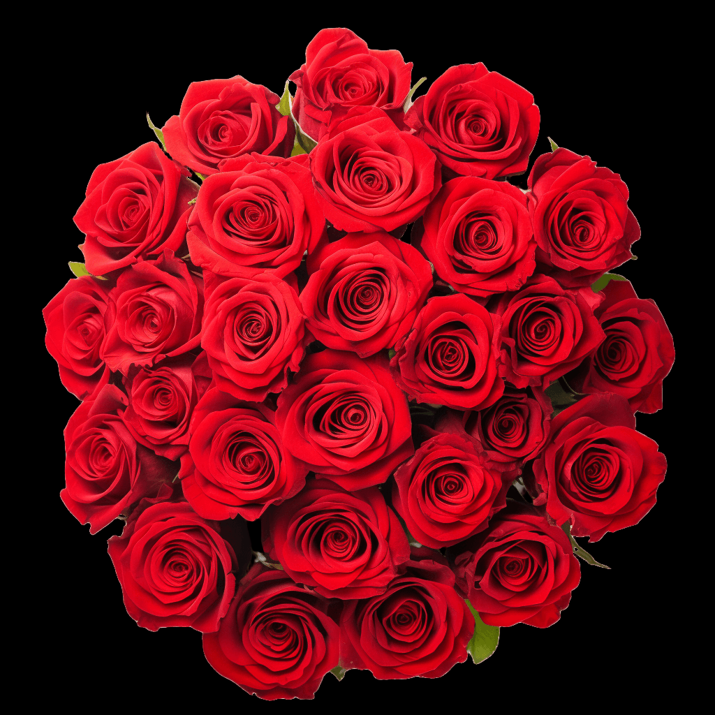 Fresh Red Rose Bouquet