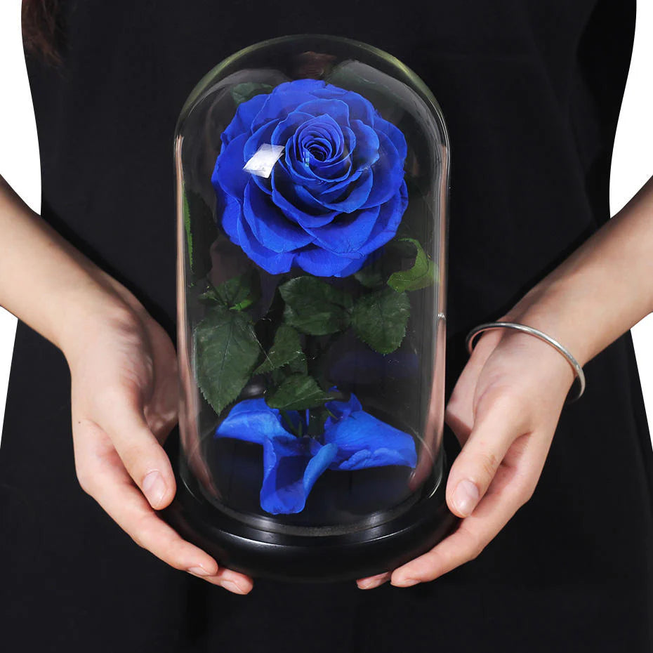 Beauty and the Beast Preserved Rose Dome