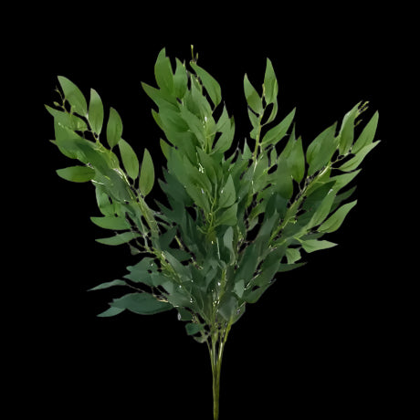 Fresh Ruscus Filler Flowers