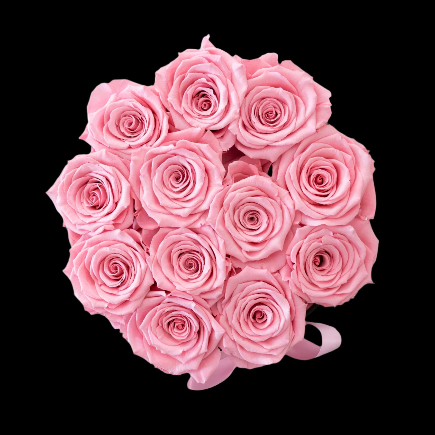 Bouquet of pink roses on a white background