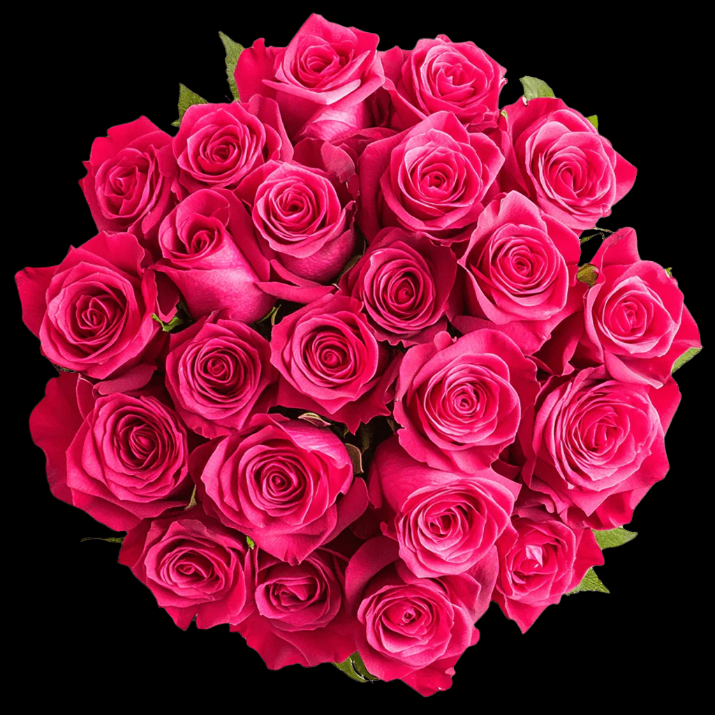 Fresh Hot Pink Rose Bouquet
