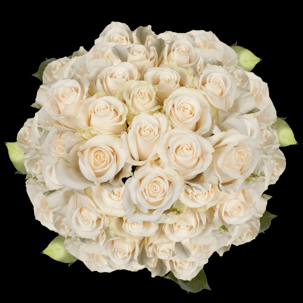 Fresh Ivory Rose Bouquet
