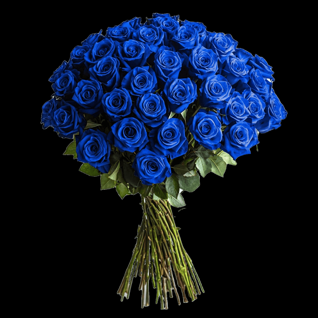 Fresh Royal Blue Rose Bouquet