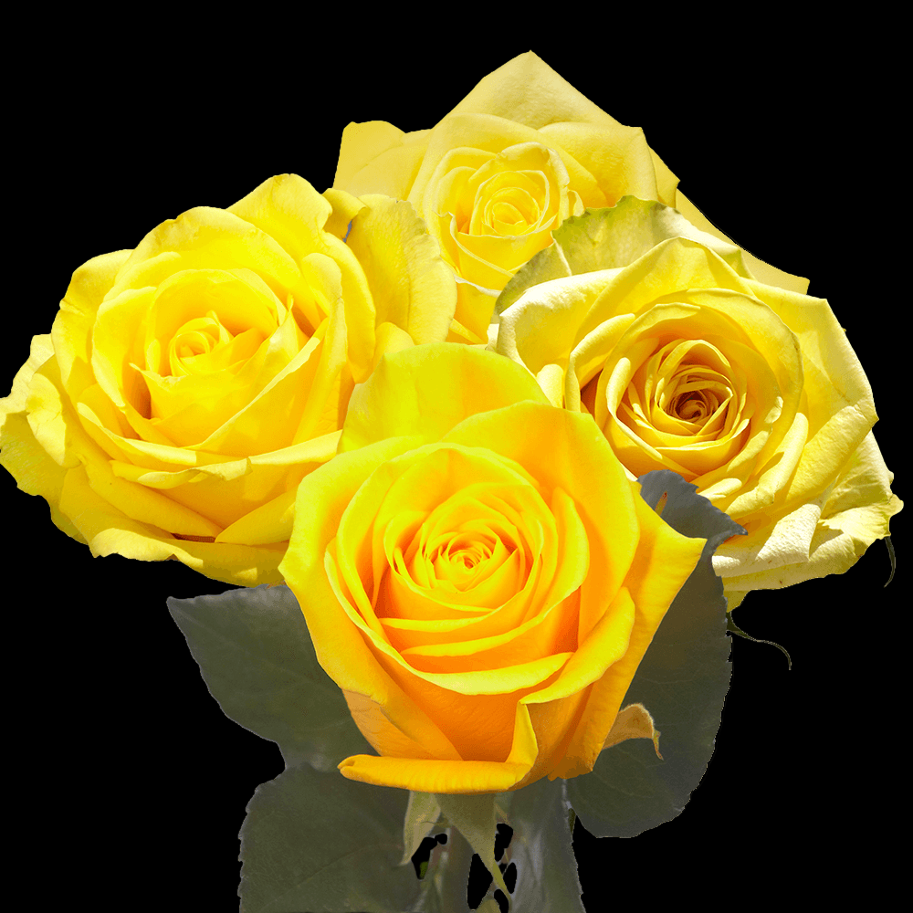 Fresh Yellow Rose Bouquet